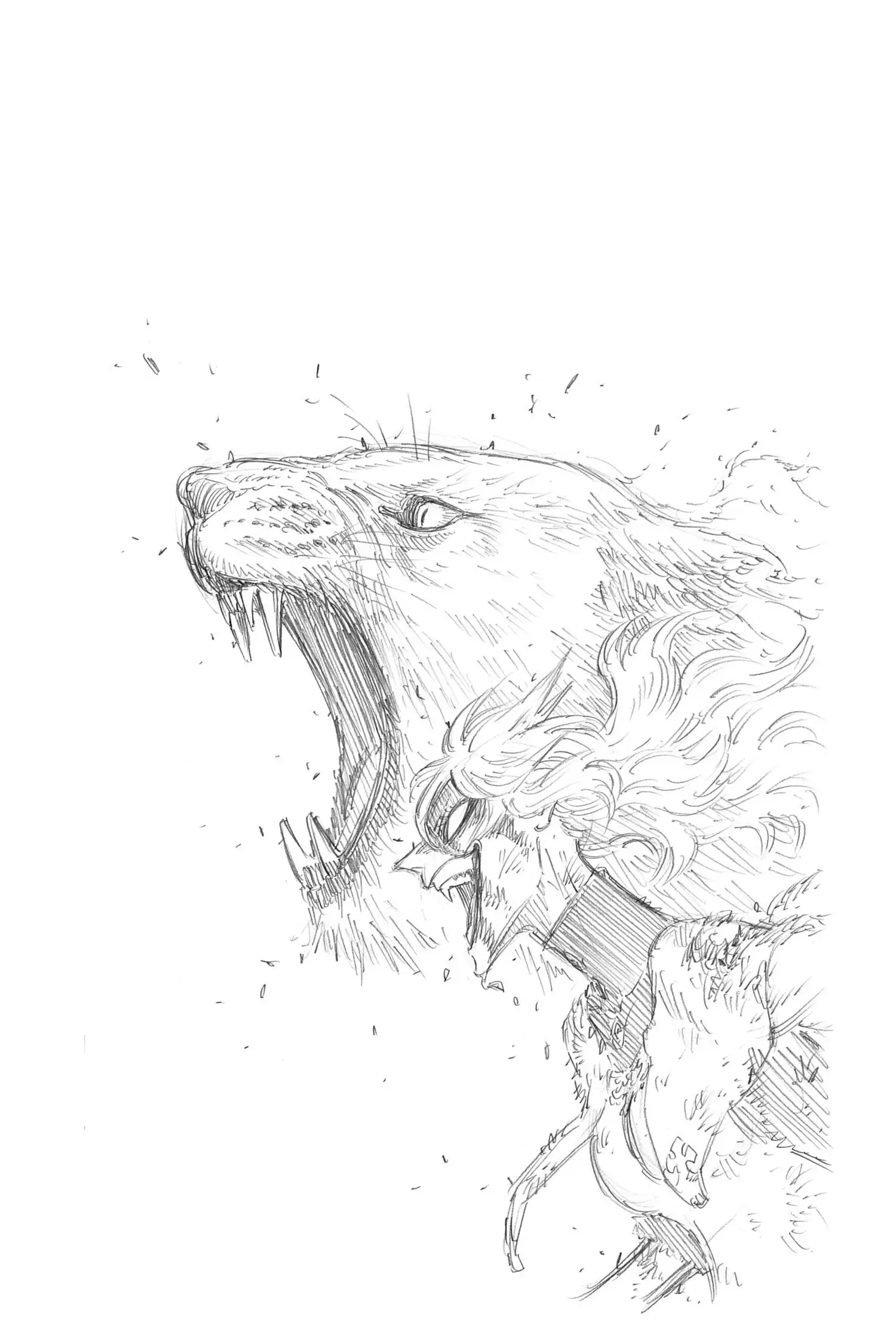 14553218 1500 2250 126086